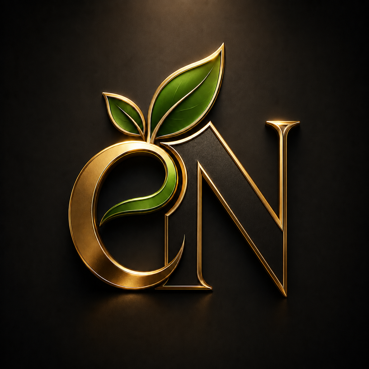 Eco Natural EN logo